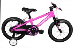 160 PINK1